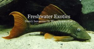 Freshwater Exotics Cover